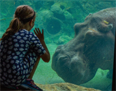 ZOO
